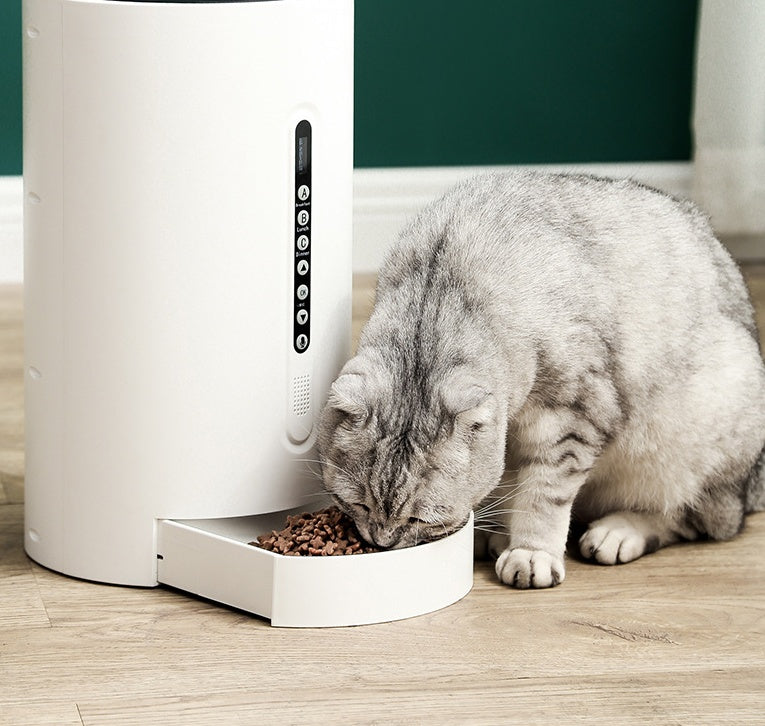 Distributeur intelligent pour animaux de compagnie, fournitures pour animaux de compagnie, synchronisation