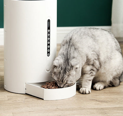Distributeur intelligent pour animaux de compagnie, fournitures pour animaux de compagnie, synchronisation