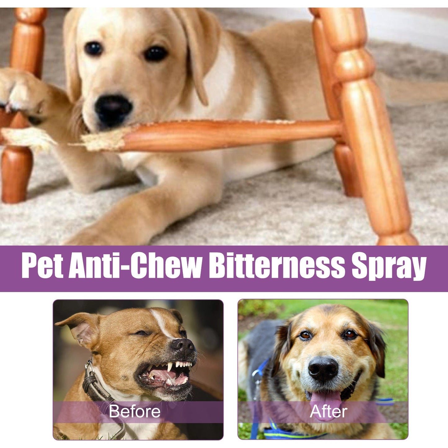 Spray anti-bruit pour animaux de compagnie, apaisant et apaisant 